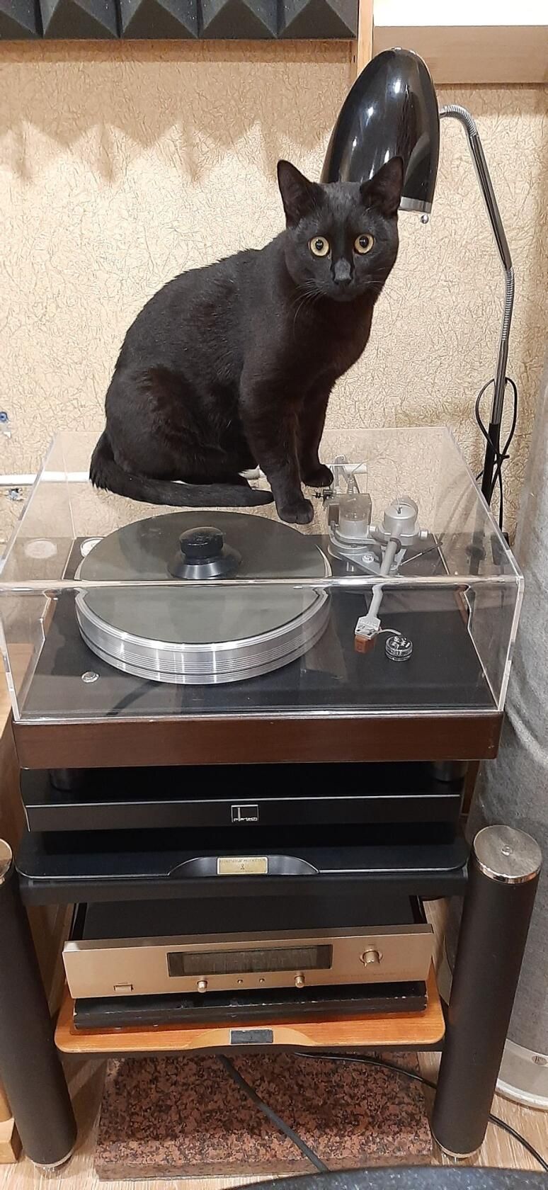 VPI CLASSIC