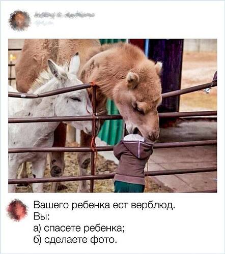 B4FB29B4-B996-41E2-BD53-09B3FDBB77BC.jpeg.d0ef51fbb565ad8e96b2e8afbfe6a591.jpeg