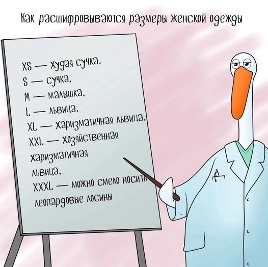 313433293_10225853052846046_2078540061506669707_n.jpg.010dd782b2f62b326a1d6ede5200fc2d.jpg